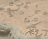 Potential Signs of Ancient Life in Mars Rover Photos