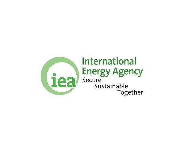 IEA chief Birol: an 'unexpected hero' of climate fight