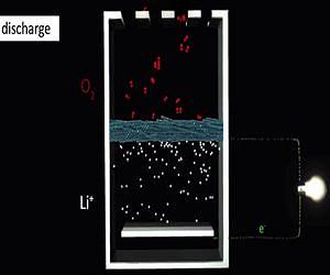 Better batteries through biology?