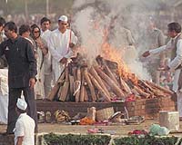 New Green Pyre To Cool Planet While Burning The Dead Of India