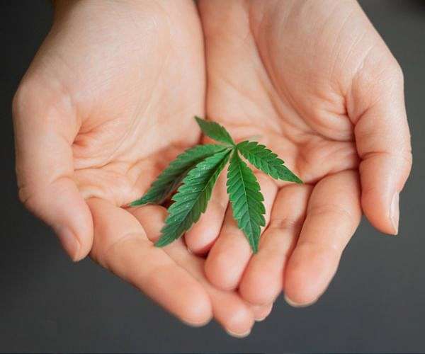 Marijuana smokers show higher rates of emphysema, airway diseases than smokers: Ottawa study