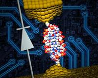 Researchers use single molecule of DNA to create world's smallest diode