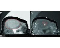 Silicate stardust traces histories of dust in the galaxy