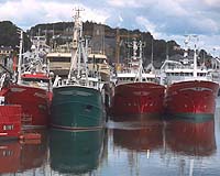 Europe tightens fishing controls
