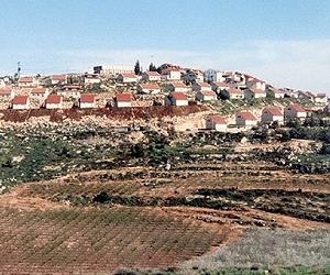 Resuming settlements will end peace talks: Palestinians