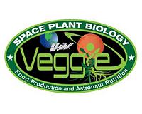 Space-grown flowers will be new year blooms on International Space Station