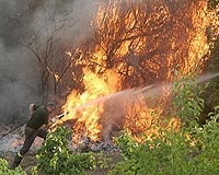 Mediterranean rim battles to contain wildfires