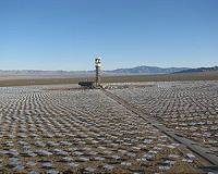 Videos reveal birds, bats and bugs near Ivanpah solar project power towers