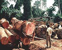 Taxation resumes in northern Ivory Coast