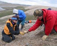 Ancient Arctic sharks tolerated brackish water 50 million years ago