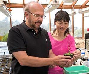 Discovery may help protect crops from stressors