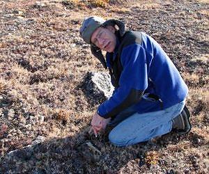 Research into carbon storage in Arctic tundra reveals unexpected insight into ecosystem resiliency
