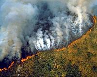 Tropical Fires Fuel Elevated Ozone Levels Over Western Pacific Ocean
