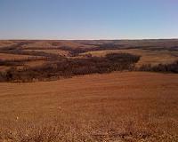 Teasing out the microbiome of the Kansas prairie