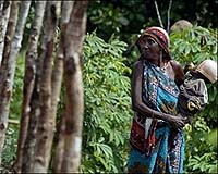 Kenya gives squatters October deadline to quit threatened forest land