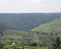 Kenya drone ban hits anti-poaching efforts