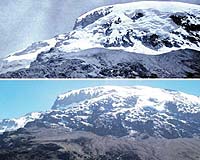 Global Warming Not To Blame For The Woes Of Kilimanjaro