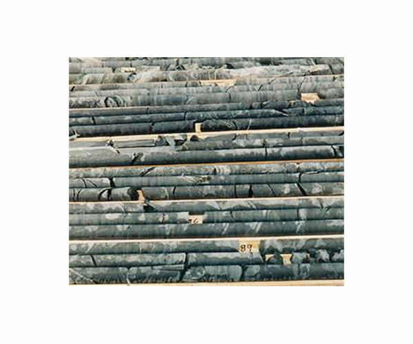 Microfossils from early land plants hints at Australia's petroleum potential