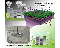 Molecularly thin interface between polymers makes for efficient CO2 capture membrane