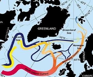 Scientists find 'drastic' weather-related Atlantic shifts