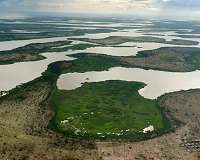 Chad declares Lake areas 'war zone' after deadly Boko Haram attack