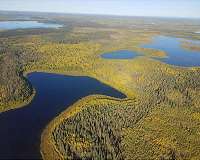Many Arctic lakes give off less carbon than expected