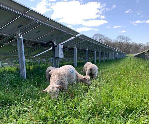 How ageing solar panels can power a second life
