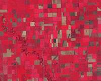 Biological clock of plants affects herbicide efficacy