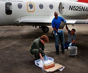 NASA Researchers to Flying Insects: 'Bug Off!'