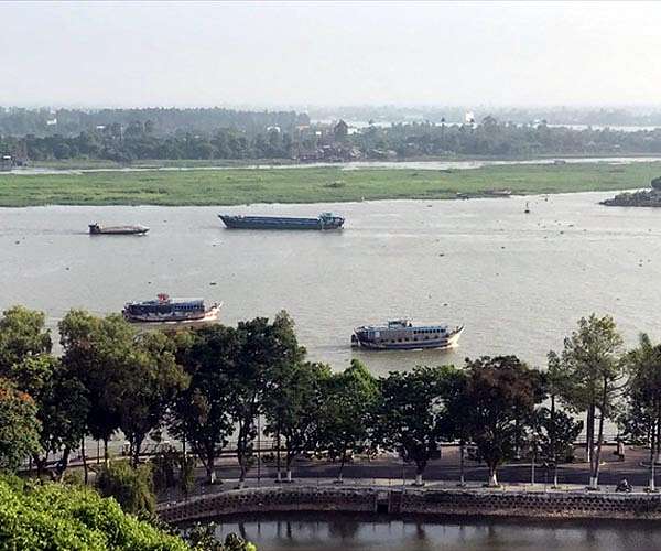One-fifth of Mekong River fish species face extinction: report