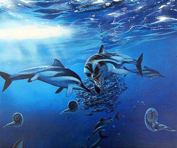 Prehistoric marine reptiles reproduced in Nevada, leaving behind fossil bed