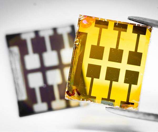 Lead-free magnetic perovskites