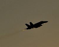 US F-18 fighter crashes in Gulf, crew rescued: Navy
