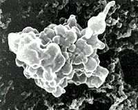 Locked In Glaciers And Ancient Microbes May Return To Life