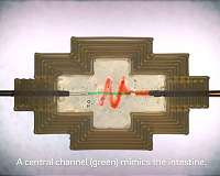 Easy to use 3D bioprinting technique creates lifelike tissues from natural materials