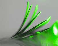 Scientists develop new materials that move in response to light