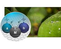 Physics, photosynthesis and solar cells