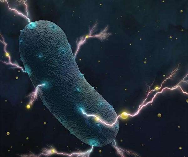 Chemical researchers invent bio-petroleum for sustainable materials