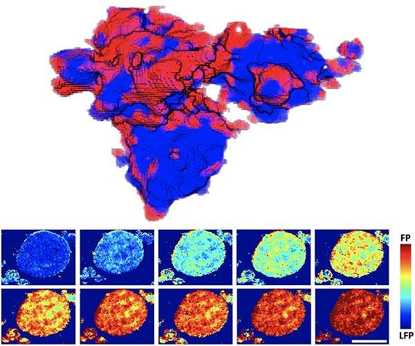 Lithium's narrow paths limit batteries