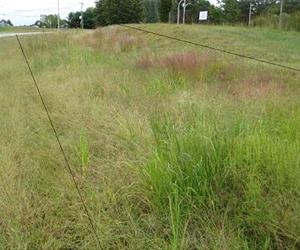 Discovering Potential Solutions To New England Roadside Erosion