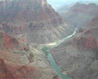 River Damming Leads To Dramatic Decline In Native Fish Numbers