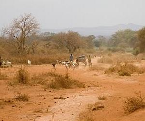 Food and water drive Africa land grab