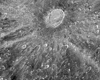 Astronomer spots asteroid smashing into Moon