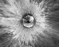 Lunar love: When science meets artistry