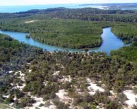New Madagascar leader declares war on illegal logging