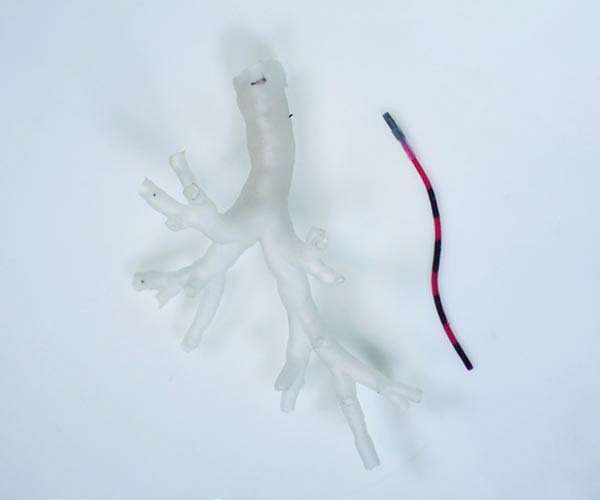 Engineers develop a 'magnetic tentacle robot' to pass into the narrow tubes of the lung