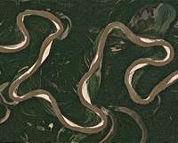 How inland waters 'breathe' carbon and impact global systems