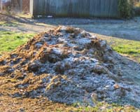 Manure focus of electricity effort in Kan.