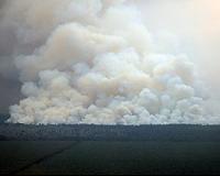 Indonesia punishes firms over deadly forest fires
