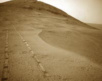 Hardy organisms threaten interplanetary contamination